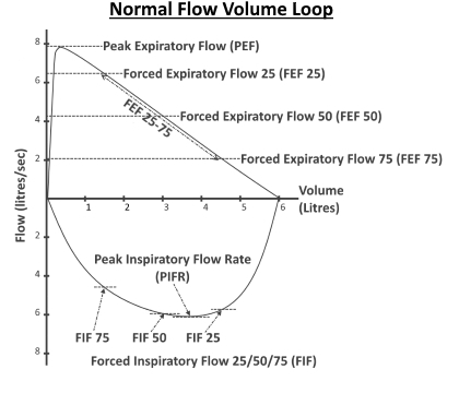 Normal Flow Loop